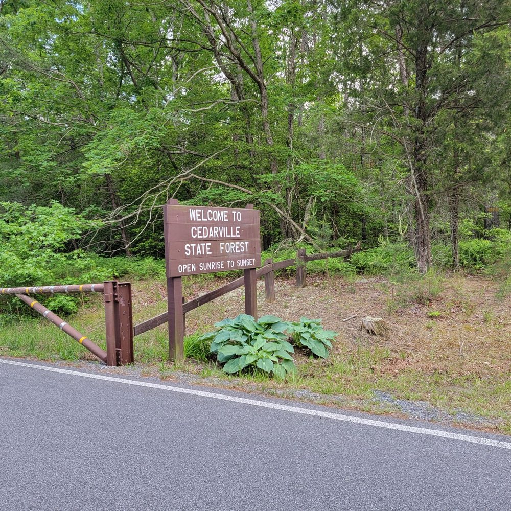 Cedarville State Forest - Parks Near Me - Brandywine, Maryland