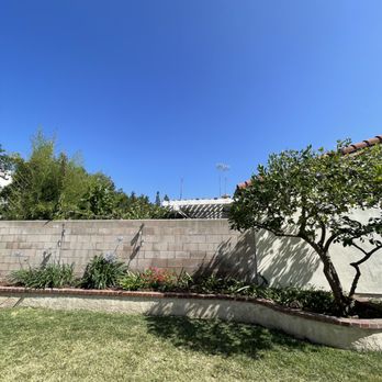 Bustamante Tree Service - The location 3 palms were removed and the trimmed lemon tree. - Tree Services Near Me - South Gate, California
