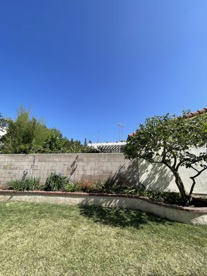 🌴 Palm Tree Removal - Bustamante specializes in Tree removals of all sizes! Give us a call today for a Free Estimate! 🌴 Palm Tree Removal - Bustamante specializes in Tree removals of all sizes! Give us a call today for a Free Estimate!