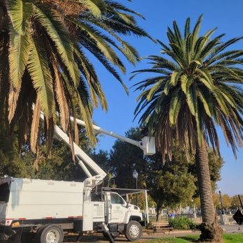 Valley Tree Service - Tree Services Near Me Valley Tree Service - Tree Services Near Me