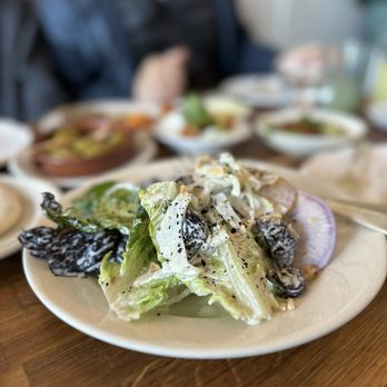 Homer - Salad - Mediterranean Near Me - Seattle, Washington