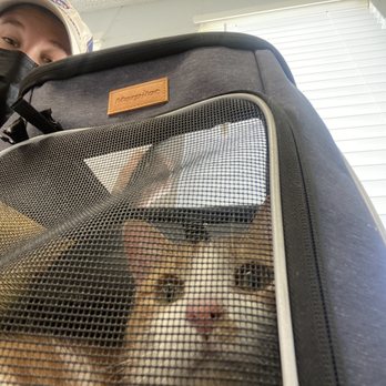 Euclid Veterinary Hospital - Veterinarians Near Me - Ontario, California