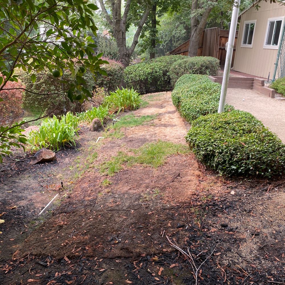 Olympus Pointe Landscape - Dead lawn after 2 weeks that they installed. Exposed sprinkler lines. - Landscaping Near Me - Roseville, California Olympus Pointe Landscape - Dead lawn after 2 weeks that they installed. Exposed sprinkler lines. - Landscaping Near Me - Roseville, California