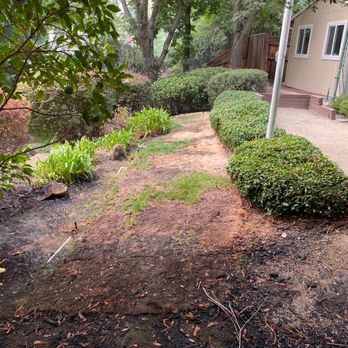 Olympus Pointe Landscape - Dead lawn after 2 weeks that they installed. Exposed sprinkler lines. - Landscaping Near Me - Roseville, California Olympus Pointe Landscape - Dead lawn after 2 weeks that they installed. Exposed sprinkler lines. - Landscaping Near Me - Roseville, California