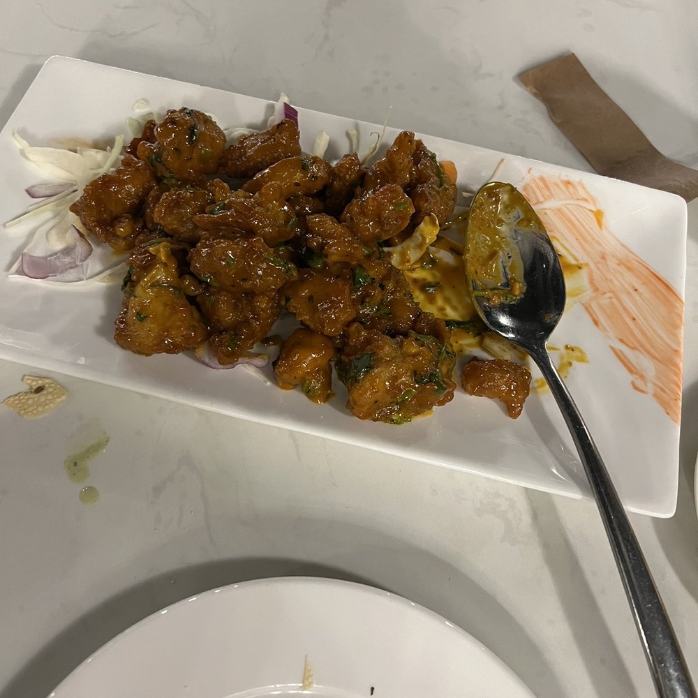 Deccan Spice - This place was amazing this was our first time here Sharon our waitress recommended stuff and it was delicious and the service was great - Indian Near Me - Pompano Beach, Florida