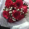 Hague Florists & Greenhouses gift card