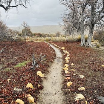 Spring Mountain Ranch State Park - Parks Near Me - Blue Diamond, Nevada