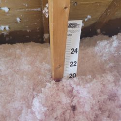 Insulation Nation