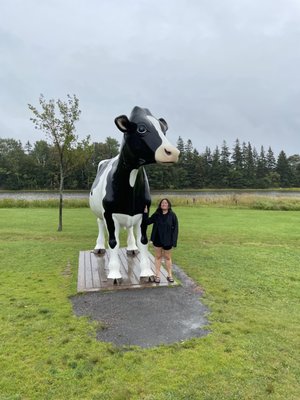 COWS Creamery by null