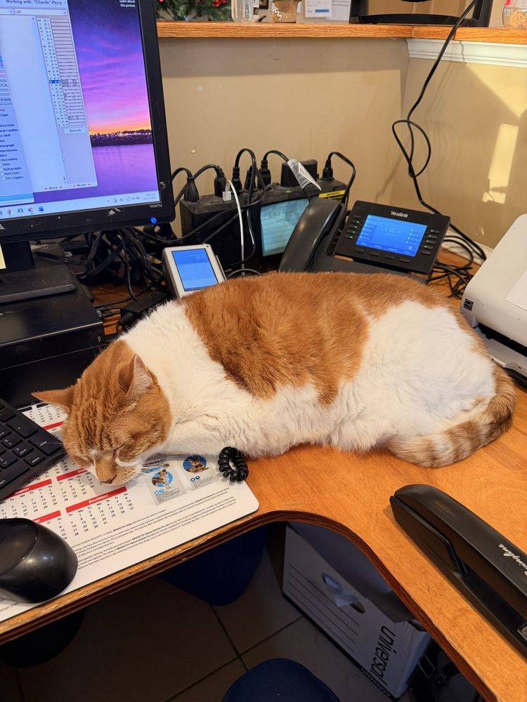 Millsboro Animal Hospital Image