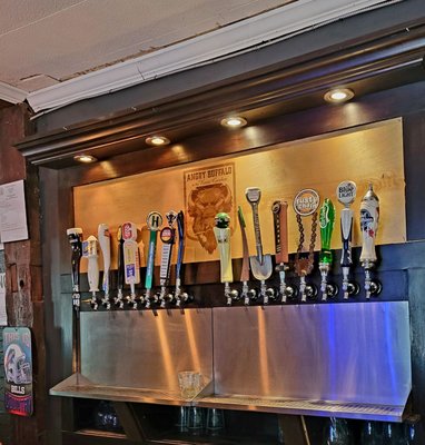 Angry Buffalo @ The Rose Garden by null