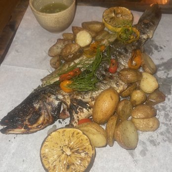 Taboo Tulum - Catch of the Day - Mediterranean Near Me - Tulum, ROO