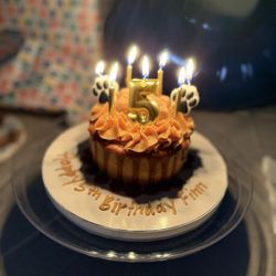 Blue Crab Cupcakes - 4" Puppy Cake