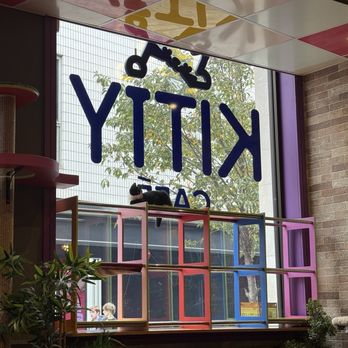 Kitty Cafe - Cafes Near Me - Leeds, XWY Kitty Cafe - Cafes Near Me - Leeds, XWY