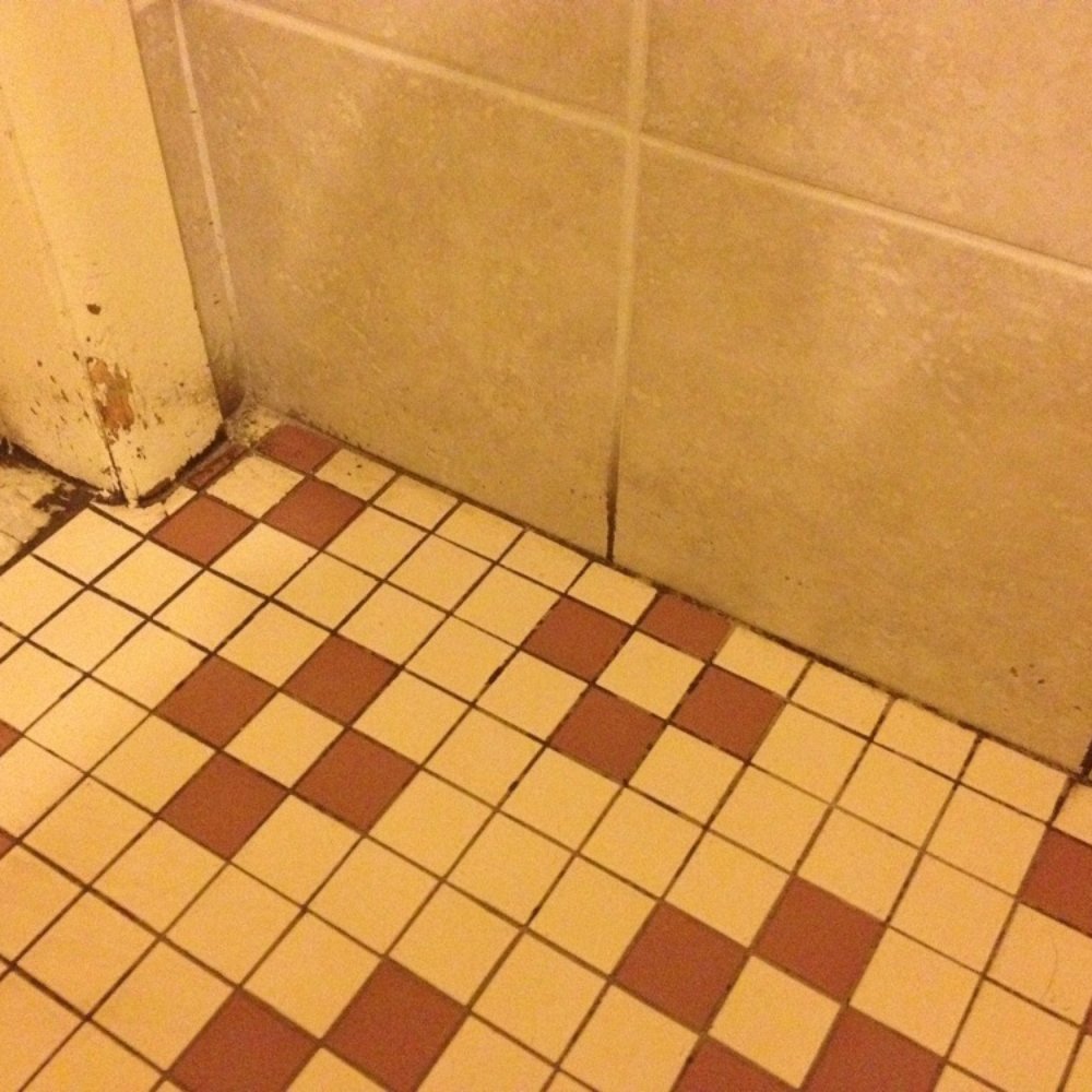 Mike's Cafe - Mold in ladies bathroom - American Near Me - Englewood, Colorado Mike's Cafe - Mold in ladies bathroom - American Near Me - Englewood, Colorado