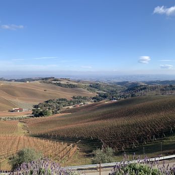 DAOU Vineyards - Wineries Near Me - Paso Robles, California