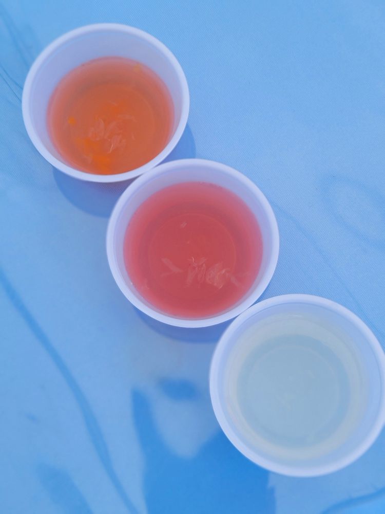 ISLAND SQUEEZE LEMONADE Updated October 2024 17 Photos Wilmington