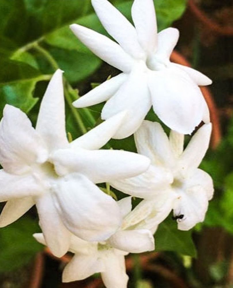 DALE HARDWARE 334 Photos & 482 Reviews 3700 Thornton Ave, Fremont