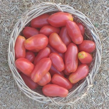 Organicas Farm Fresh - Farmers Market Near Me - Santiago, RM Organicas Farm Fresh - Farmers Market Near Me - Santiago, RM