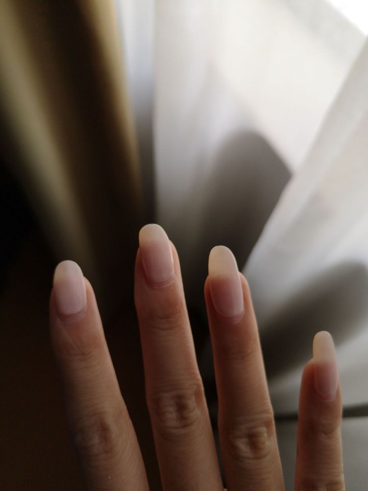 PRESTIGE NAIL STUDIO Updated July 2024 196 Photos & 59 Reviews