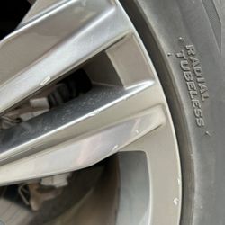 Canadian Tire - Scratches