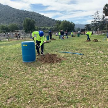Moon Valley Nurseries - Each guy dug a big hole - 4 trees in all. - Landscaping Near Me - Escondido, California Moon Valley Nurseries - Each guy dug a big hole - 4 trees in all. - Landscaping Near Me - Escondido, California