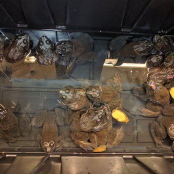 99 Ranch Market - Seafood Markets Near Me - Plano, Texas