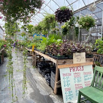 Crazy Daisies - Nurseries & Gardening Near Me - Syracuse, New York