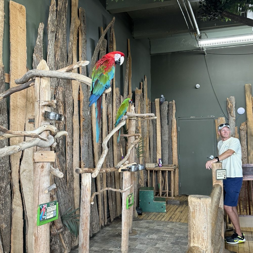 Bird Kingdom - Ray Ray the macaw, Arthur the macaw and far away Dusty the African Grey - Zoos Near Me - Niagara Falls, Ontario Bird Kingdom - Ray Ray the macaw, Arthur the macaw and far away Dusty the African Grey - Zoos Near Me - Niagara Falls, Ontario