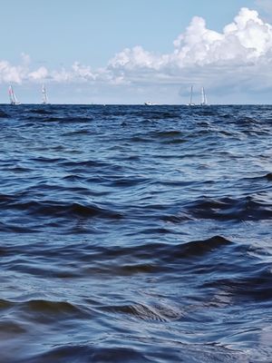 Dr. Von D. Mizell-Eula Johnson State Park by null