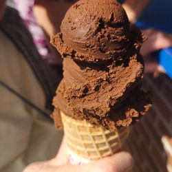 Handel's Homemade Ice Cream & Yogurt - Chocoholic chunk