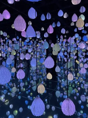 ARTE MUSEUM - Updated July 2025 - 2289 Photos & 599 Reviews - 3716 S