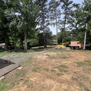 VCD Tree Services - Tree Services Near Me VCD Tree Services - Tree Services Near Me