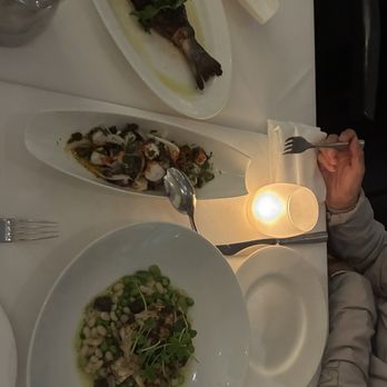 Ostra - Seafood Near Me - Boston, Massachusetts Ostra - Seafood Near Me - Boston, Massachusetts
