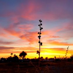 Get Moving Adventures - Pismo Beach Sunset views from restaurant