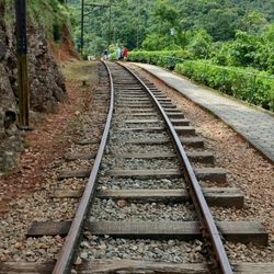 Estação Eugênio Lefevre - .