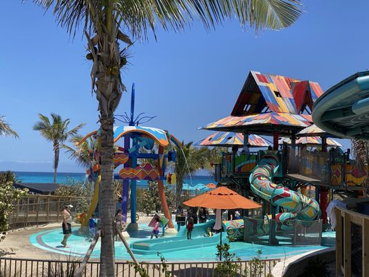 Disney Cruise Line by null