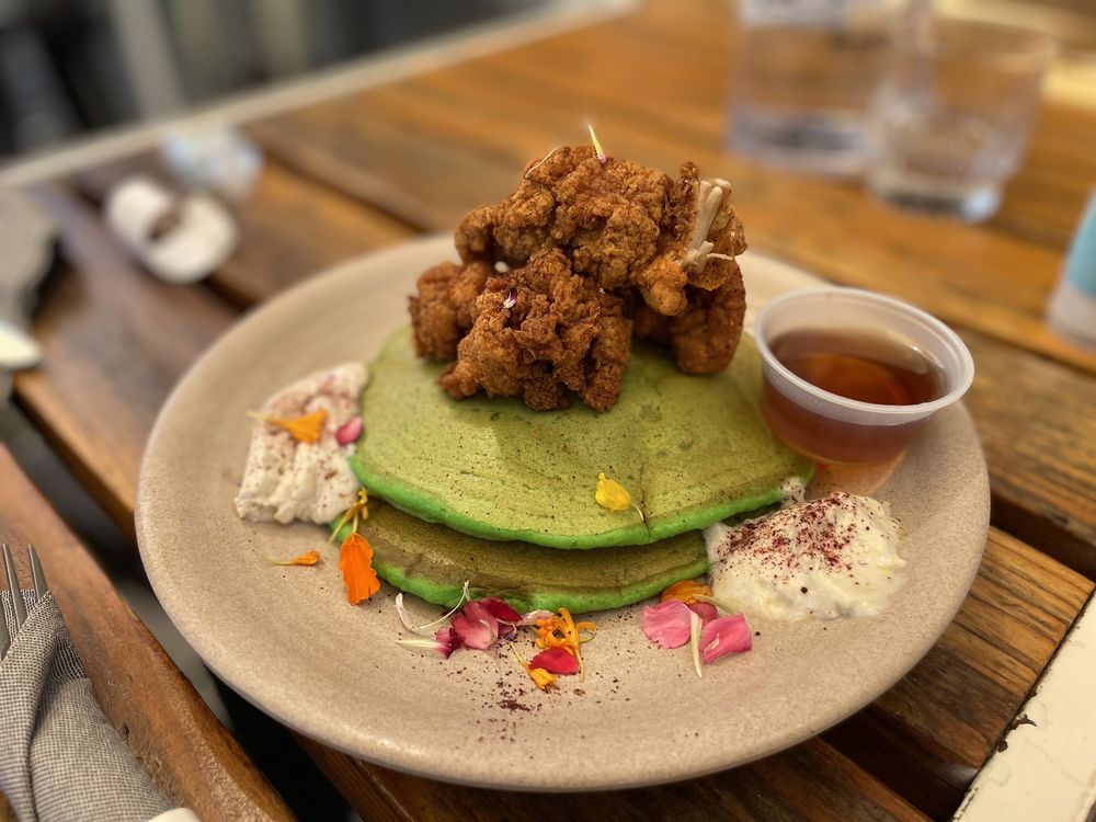 DARLING AVIARY Updated August 2024 725 Photos & 572 Reviews 712 K