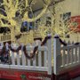 Photo of Winterfest Of Lights