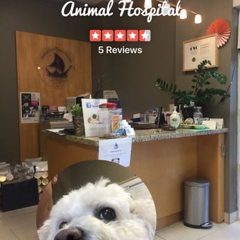 Harbourfront Animal Hospital - Thank you, Dr Slav! - Veterinarians Near Me - Toronto, Ontario Harbourfront Animal Hospital - Thank you, Dr Slav! - Veterinarians Near Me - Toronto, Ontario