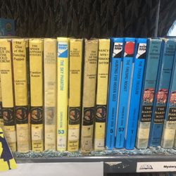 Hermosa Beach Friends of the Library - Vintage classics.