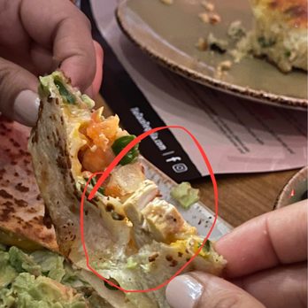 Tio Taco + Tequila Bar - Ordered Veg Quesadilla, but they gave Chicken Quesadilla - Mexican Near Me - Edison, New Jersey Tio Taco + Tequila Bar - Ordered Veg Quesadilla, but they gave Chicken Quesadilla - Mexican Near Me - Edison, New Jersey