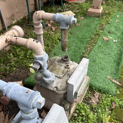 Shedrick The Plumber