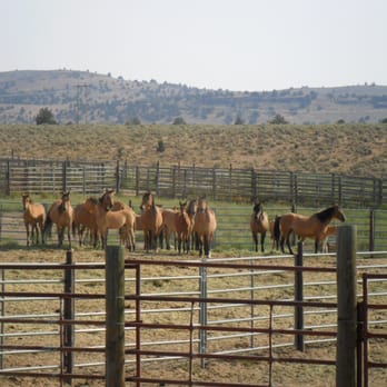 BLM Wildhorse Corrals - Public Services & Government Near Me - Hines, Oregon