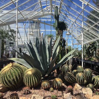 Volunteer Park Conservatory - An inspiring cactus garden takes up one wing of the gigantic greenhouse. - Parks Near Me - Seattle, Washington