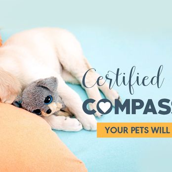 Head And Tails - Transparency in everything we do and compassion for all pets. - Pet Groomers Near Me - Union, New Jersey Head And Tails - Transparency in everything we do and compassion for all pets. - Pet Groomers Near Me - Union, New Jersey