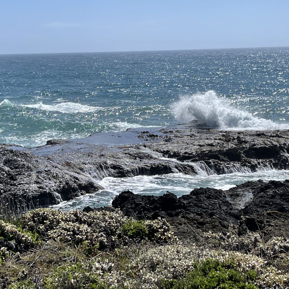 Pacific Star Winery - Wine with ocean, what more could you want? - Wineries Near Me - Fort Bragg, California Pacific Star Winery - Wine with ocean, what more could you want? - Wineries Near Me - Fort Bragg, California