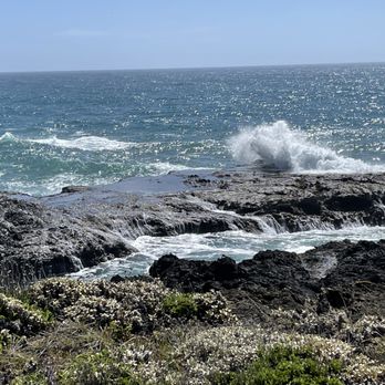 Pacific Star Winery - Wine with ocean, what more could you want? - Wineries Near Me - Fort Bragg, California Pacific Star Winery - Wine with ocean, what more could you want? - Wineries Near Me - Fort Bragg, California