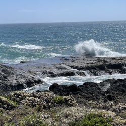 Pacific Star Winery - Wine with ocean, what more could you want?