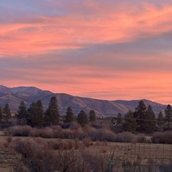 Y-Stop - Our sunsets are amazing!